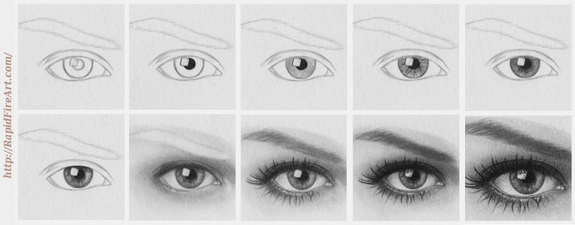 How To Draw A Realistic Eye 9 Steps RapidFireArt How To Draw A Realistic Eye 9 Steps RapidFireArt