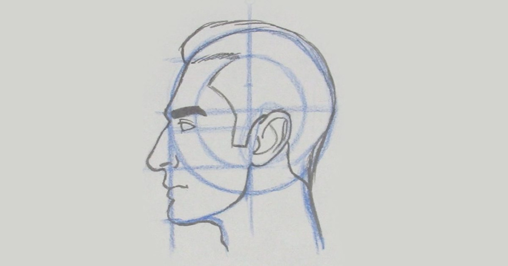 how to draw a face from the side using the loomis method