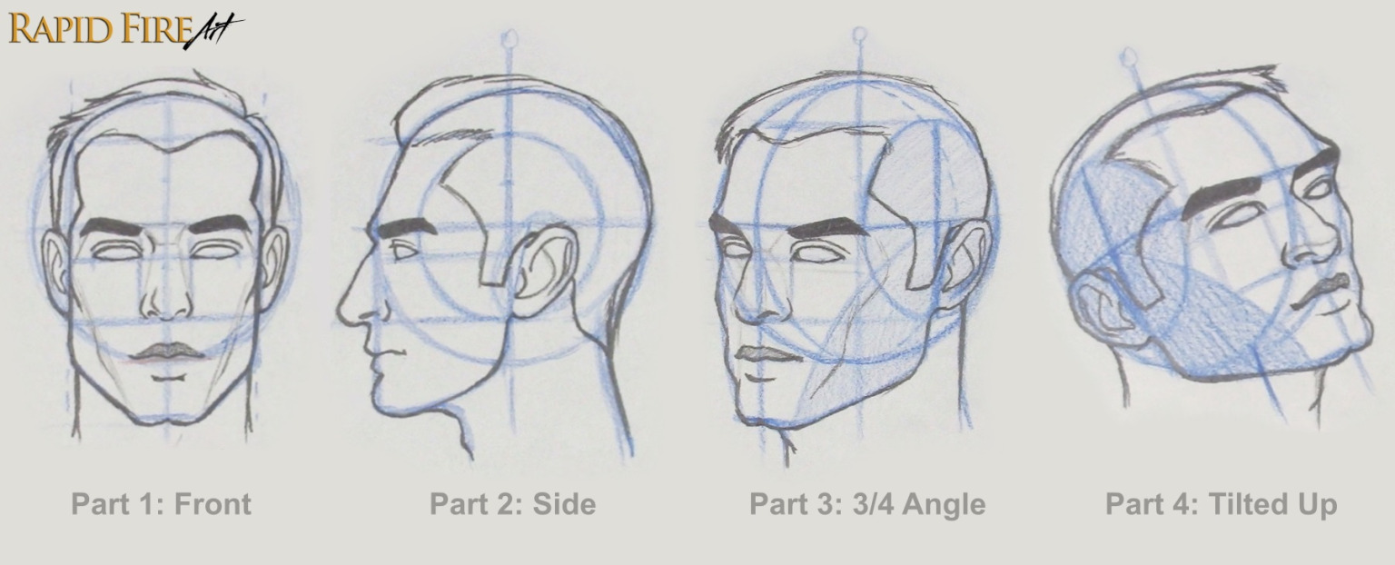 How To Draw A Face From The 3 4 VIEW Loomis Method RapidFireArt