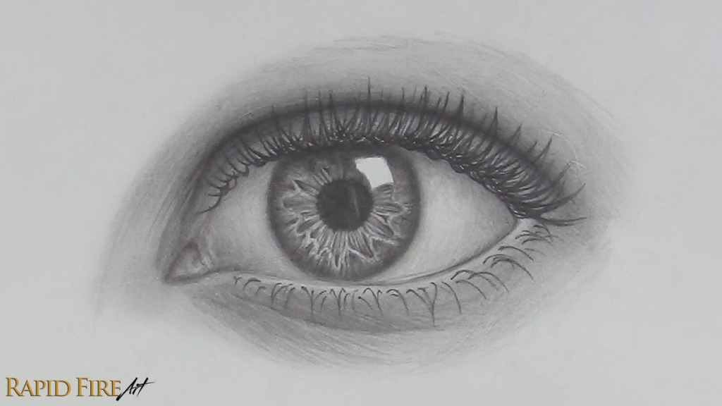 Step 13 part 4 Fill in the spaces for the eyelashes on the bottom eyelid