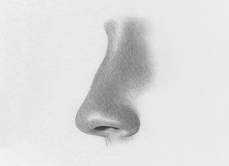 how to draw a nose from the side