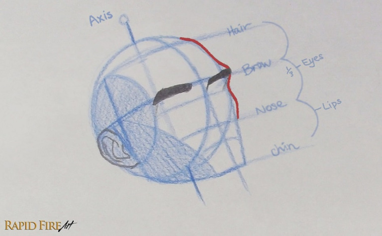 How to Draw a Face from the ¾ View – Looking Up (Loomis Method ...