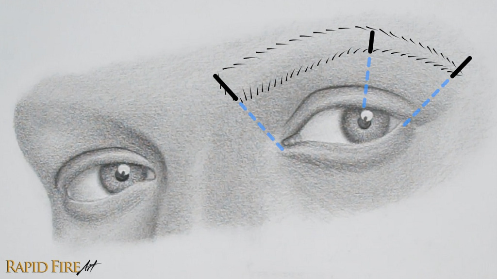 how to draw eyebrows 3/4 view placement guide