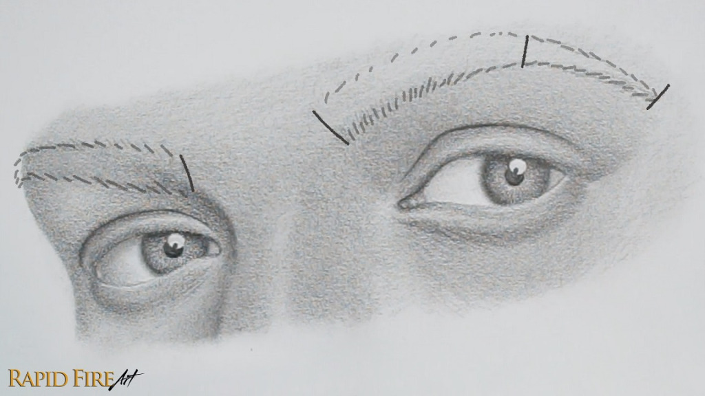 where to draw eyebrows on realistic face drawing