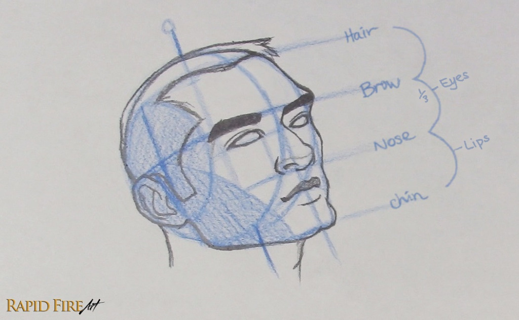 how to draw a face from the 3 quarter view looking up using loomis method for drawing heads