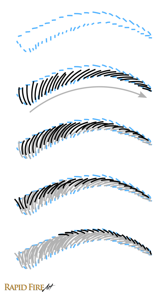 how to draw realistic eyebrow hair direction diagram